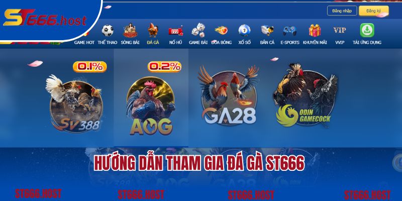 Hướng dẫn cách thức tham gia đá gà ST666 đơn giản nhất 