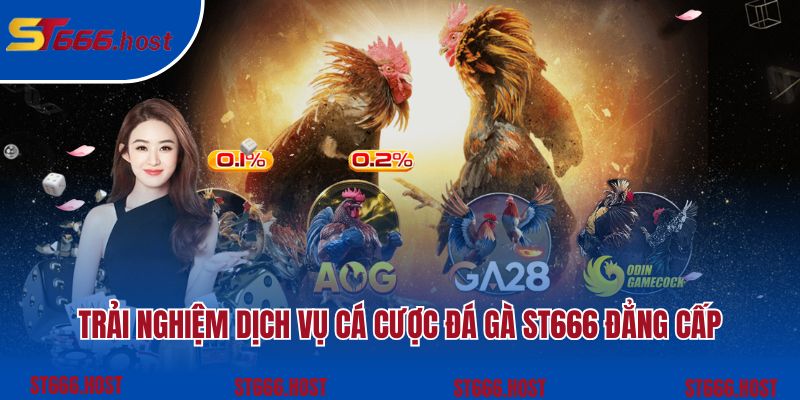 Trải nghiệm dịch vụ cá cược đá gà ST666 đẳng cấp